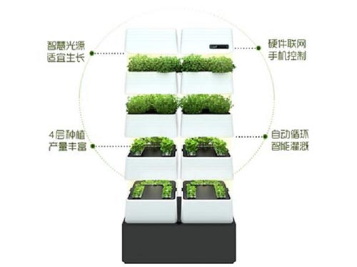 種植原理圖