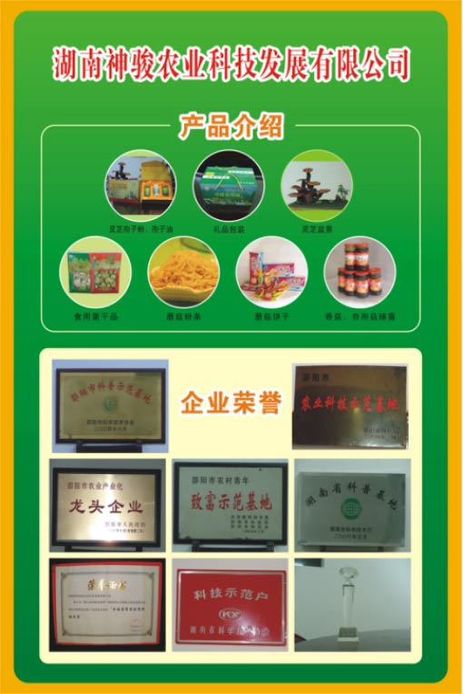 湖南神駿農(nóng)業(yè)科技發(fā)展有限公司,湖南神駿農(nóng)業(yè),湖南農(nóng)業(yè)科技,靈芝,茯苓,雙孢菇,杏鮑菇,食用菌哪家好