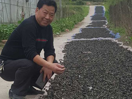 湖南神駿農(nóng)業(yè)科技發(fā)展有限公司,湖南神駿農(nóng)業(yè),神駿農(nóng)業(yè),邵陽食用菌,邵陽食用菌種植基地