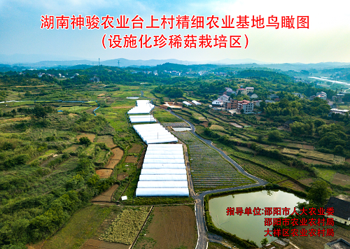 基地鳥(niǎo)瞰圖