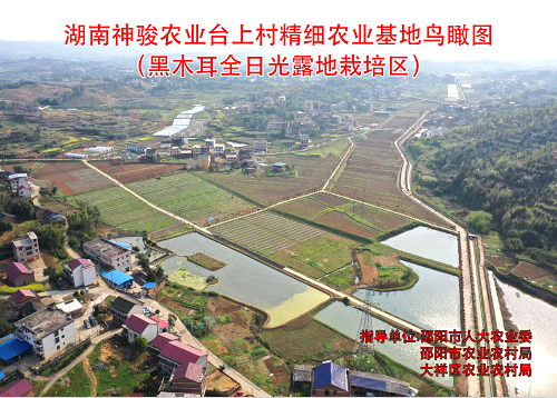 基地鳥(niǎo)瞰圖