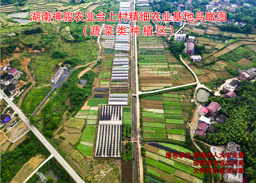 基地鳥(niǎo)瞰圖